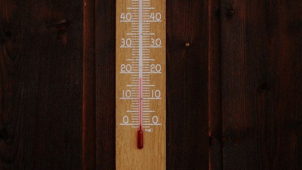 Dacă toată lumea ar reduce temperatura din case cu un grad, UE ar economisi gaze aproape cât consumul anual al României