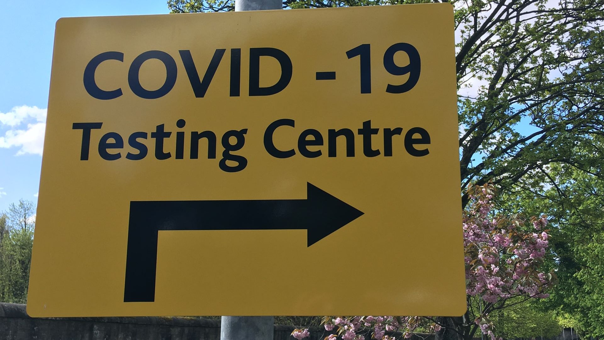 Consiliul Concurenței verifică clinicile care fac teste COVID-19. Prețurile testelor au crescut odată cu cererea