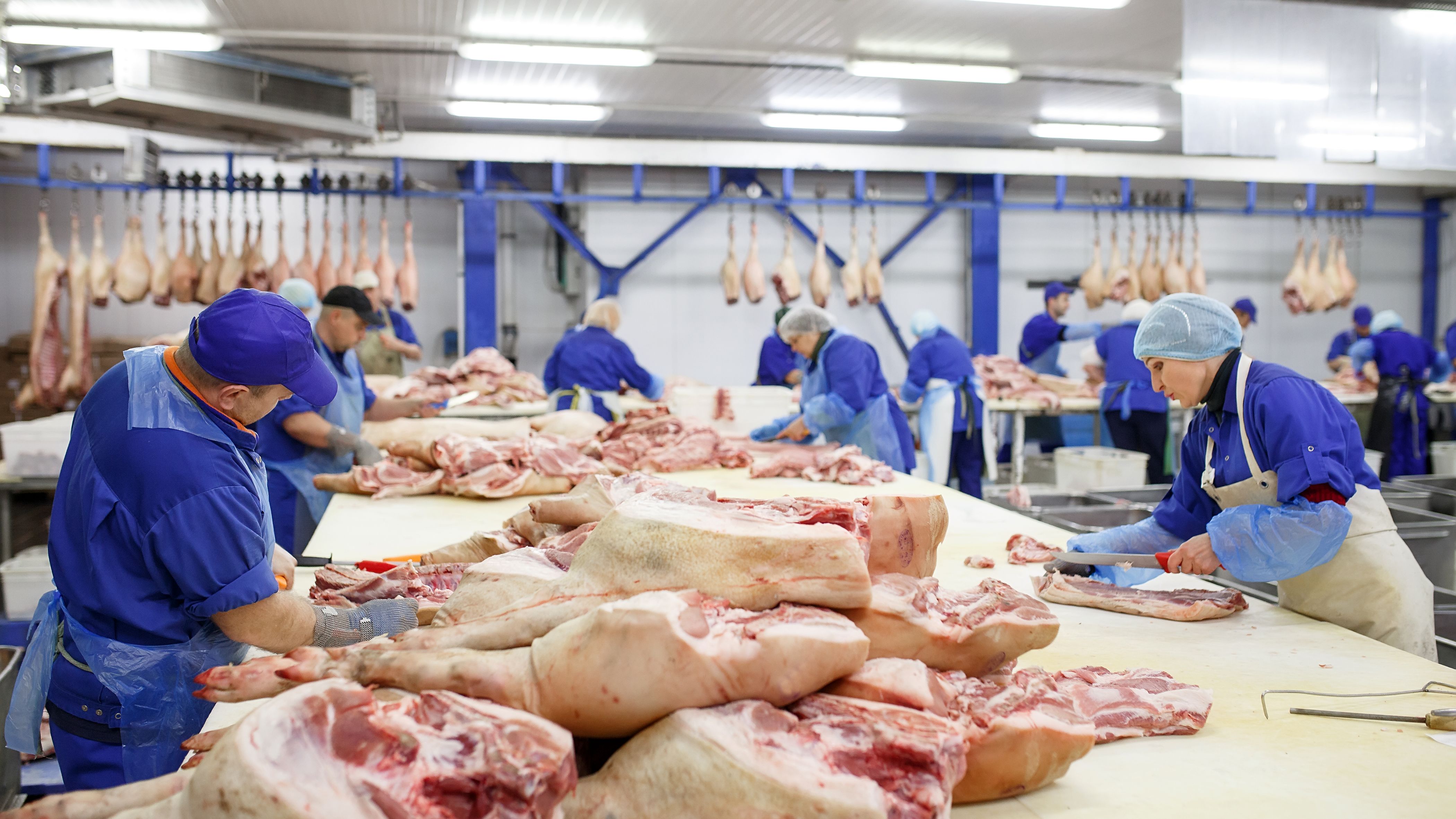 Germania va plăti îngrijirile pentru peste 200 de angajaţi români de la abatorul din Birkenfeld infectaţi cu SARS-CoV-2