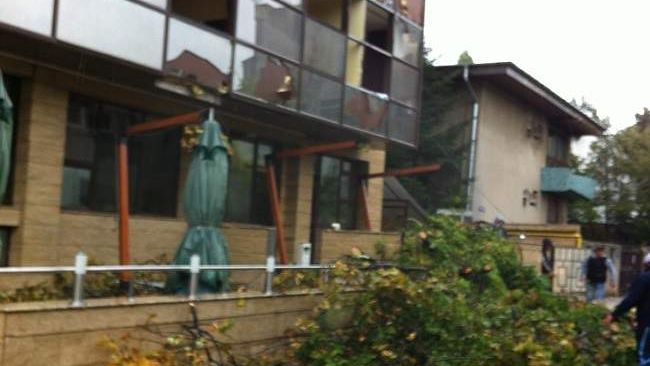 ISU Bucuresti: 19 copaci cazuti pe strazi si pe masini in Capitala si in judetul Ilfov, in urma furtunii