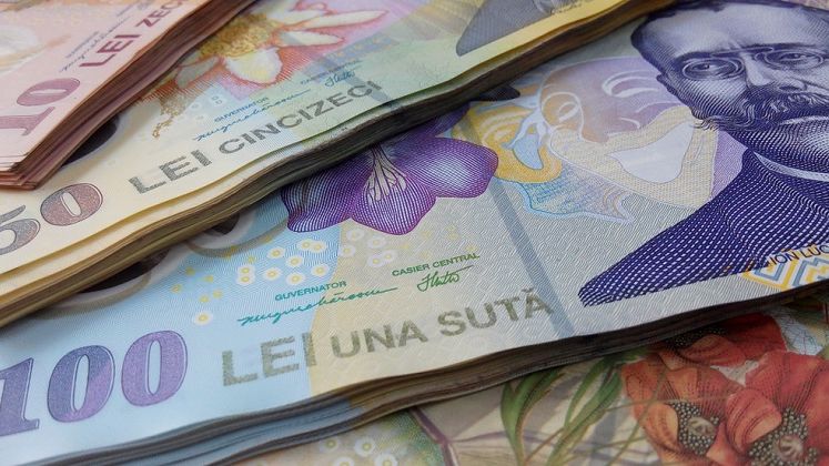 Curs valutar BNR astazi, 25 martie: leul scade din nou in fata euro