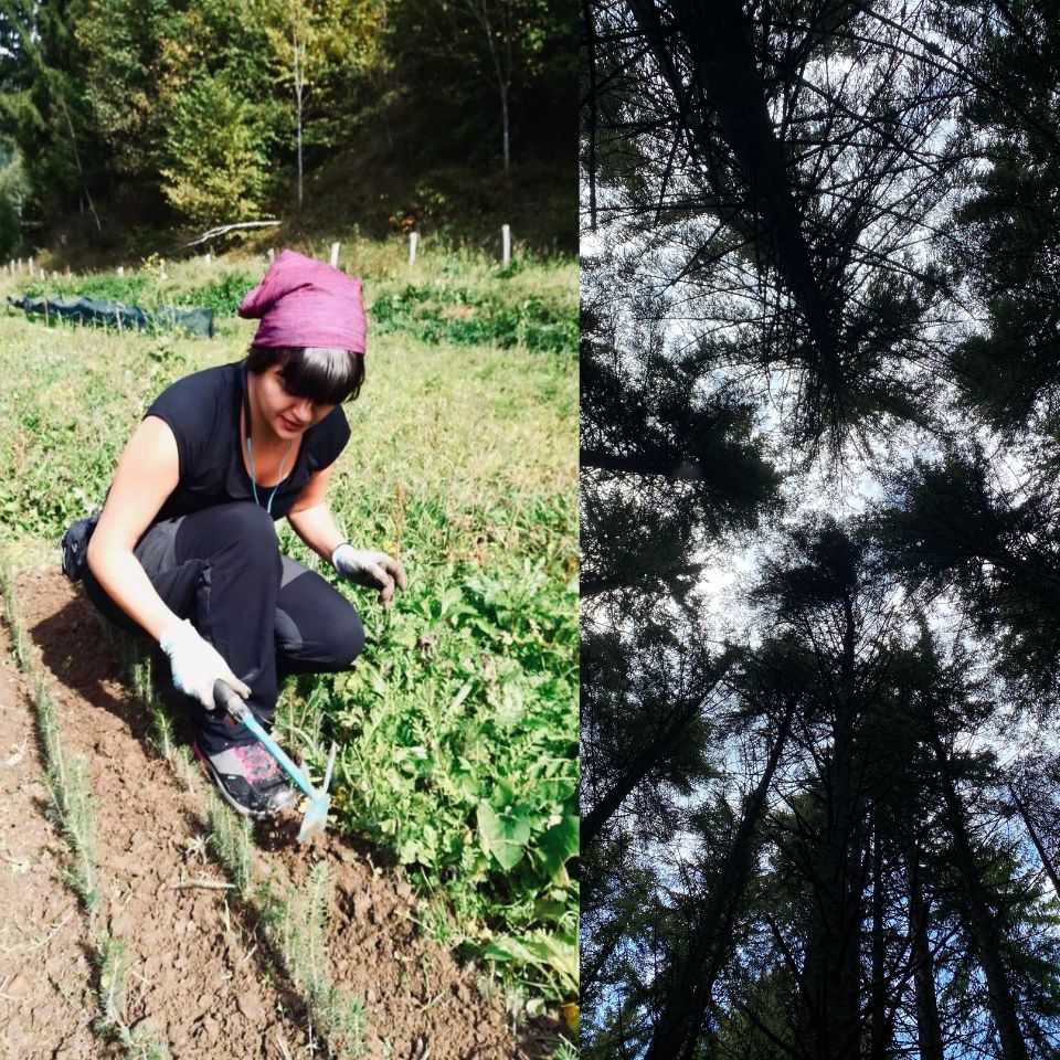 I WOOD BE, brandul românesc care vinde „obiecte cu sens” într-o piață invadată de produse ieftine: „Suntem prezenți pe eMAG și Trendyo, altfel, riști să nu mai exiști” - Poza 2