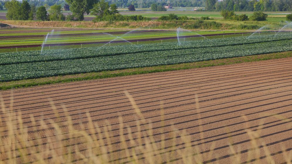 Ministerul Agriculturii: Infrastructura de irigaţii este pregătită pentru funcţionare în condiţii optime