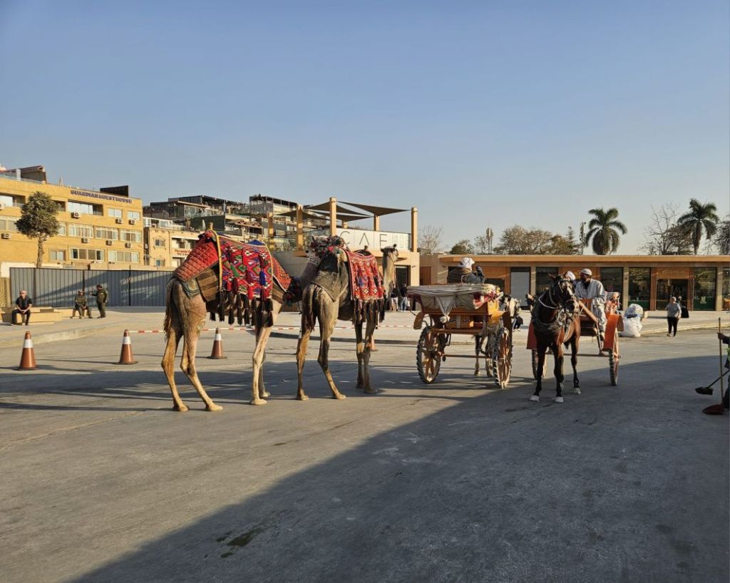 FOTOREPORTAJ | Pe urmele faraonilor: Cairo, un contrast fascinant între antichitate și modernitate - Imagine 5