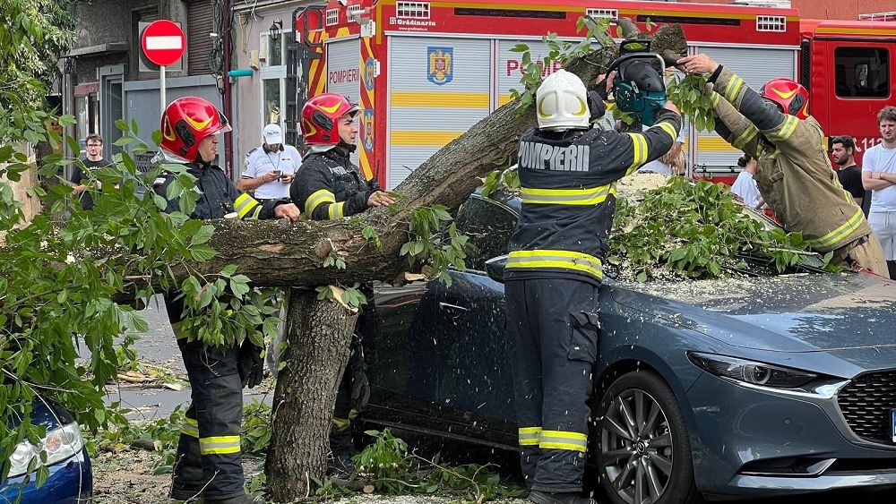 FOTO | Cod roșu de furtună București: Mai mulți copaci au căzut. O femeie și-a pierdut viața în Otopeni