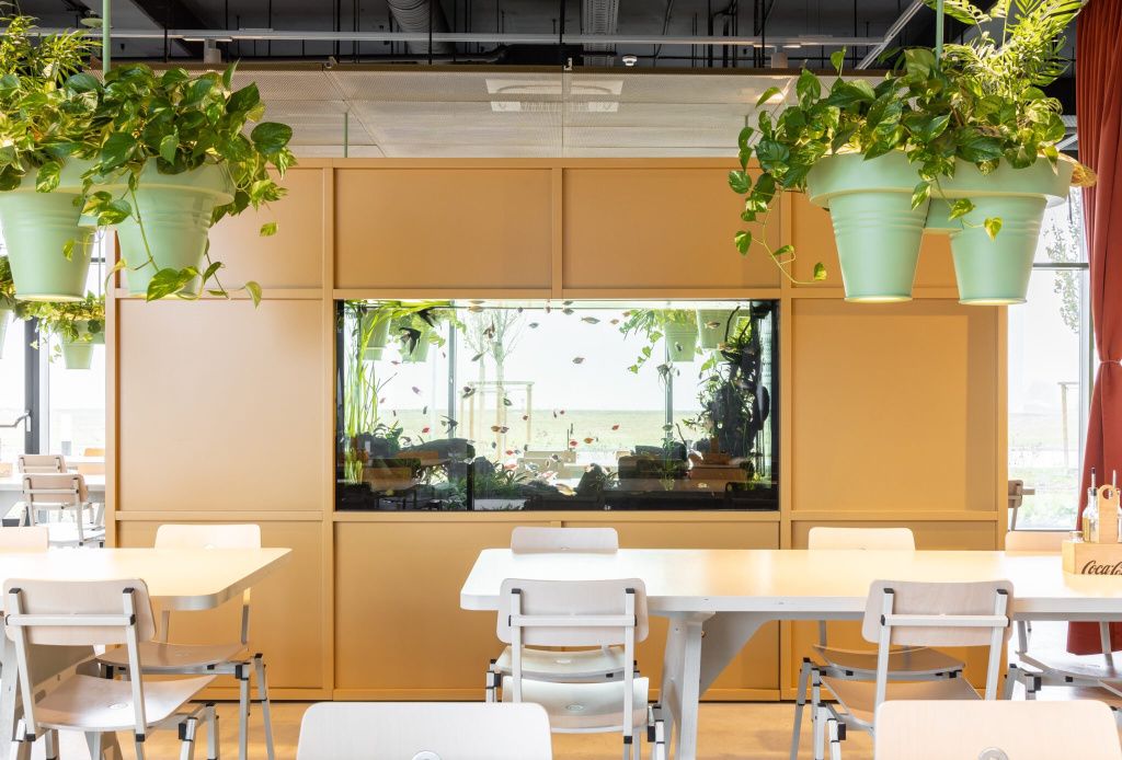 Sursa foto: Project1