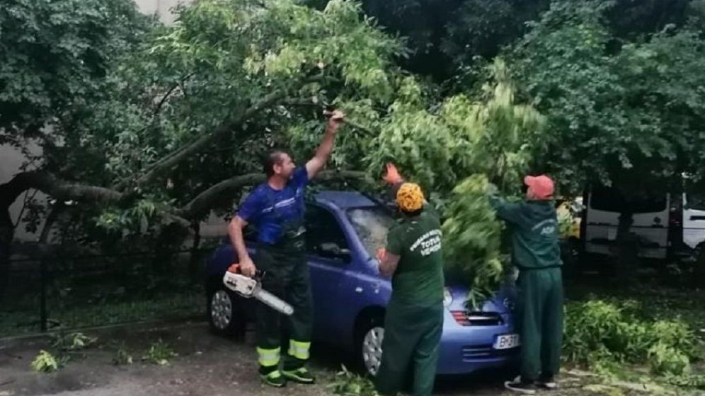 Sectorul 5: Proiect de despăgubire a proprietarilor cu mașini avariate de copacii căzuți