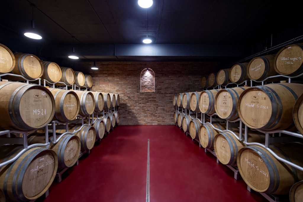 GALERIE FOTO: Cum arată crama Villa VinÃ¨a, după cele 2 milioane de euro investite în extinderea - Imagine 7