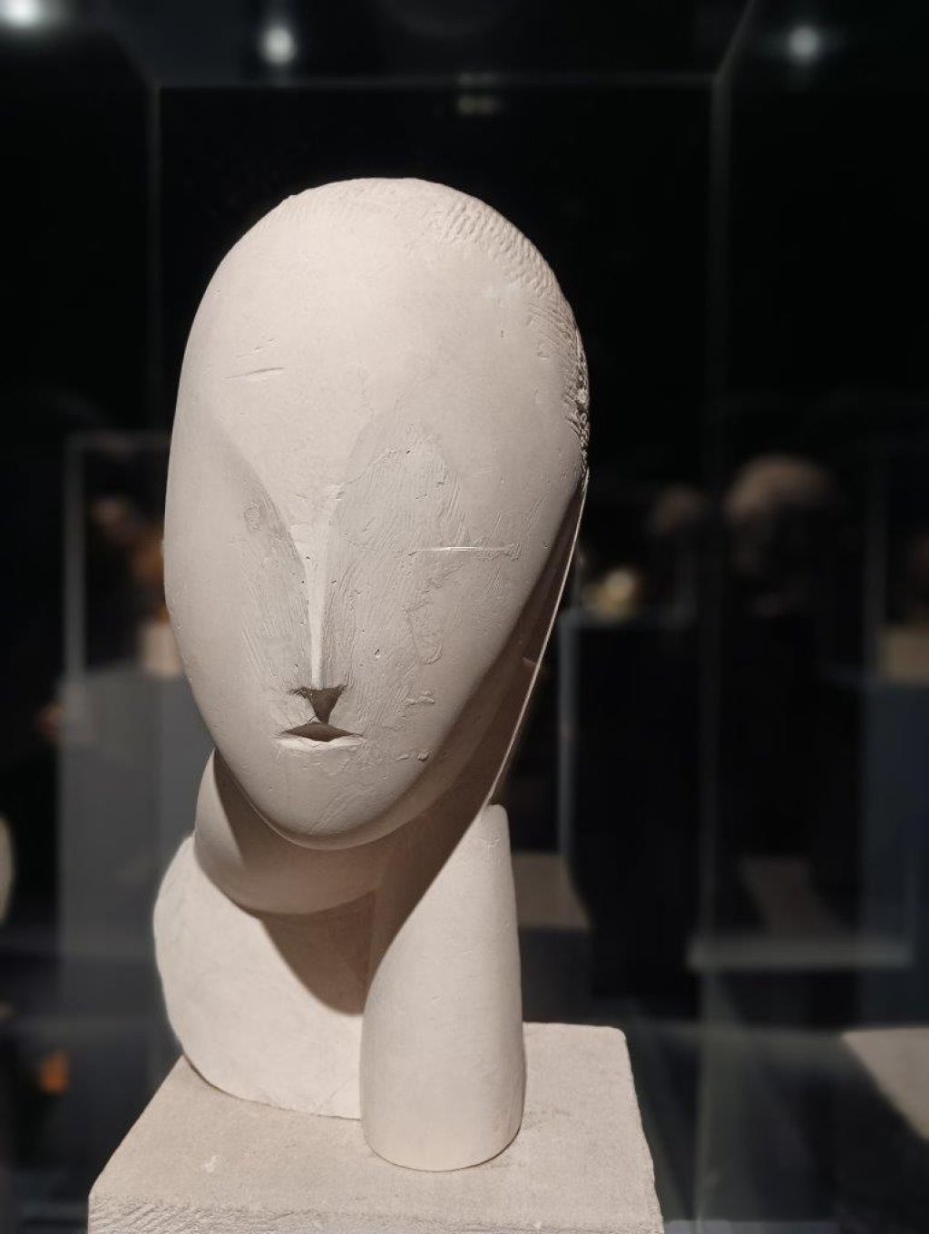 Expoziția Brâncuși de la Timișoara: capodoperele, în vizită în patria părintelui lor - Imagine 44