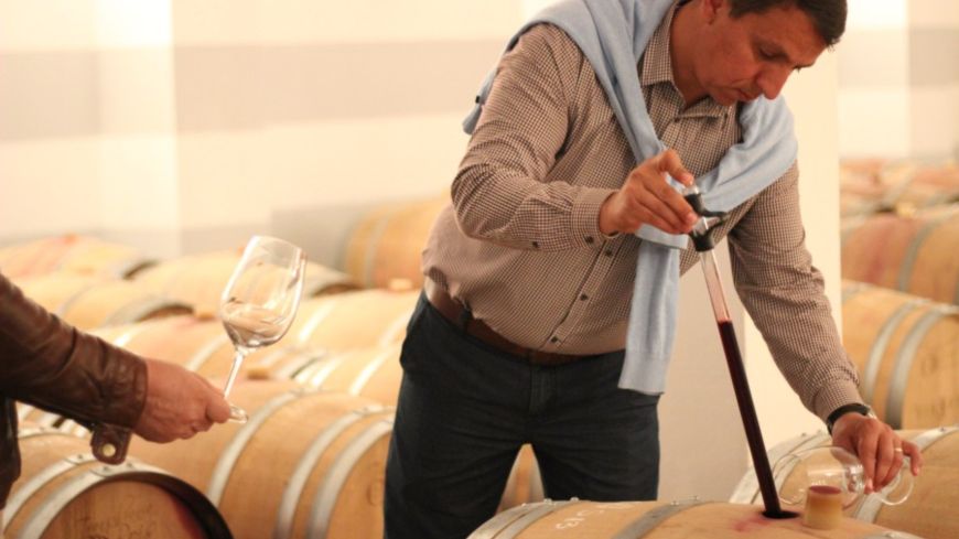 Turismul viticol din Romania atrage investitori straini