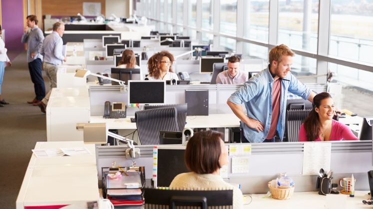 Numarul joburilor in IT, in continua crestere. Salariile pornesc de la 3.000 de euro