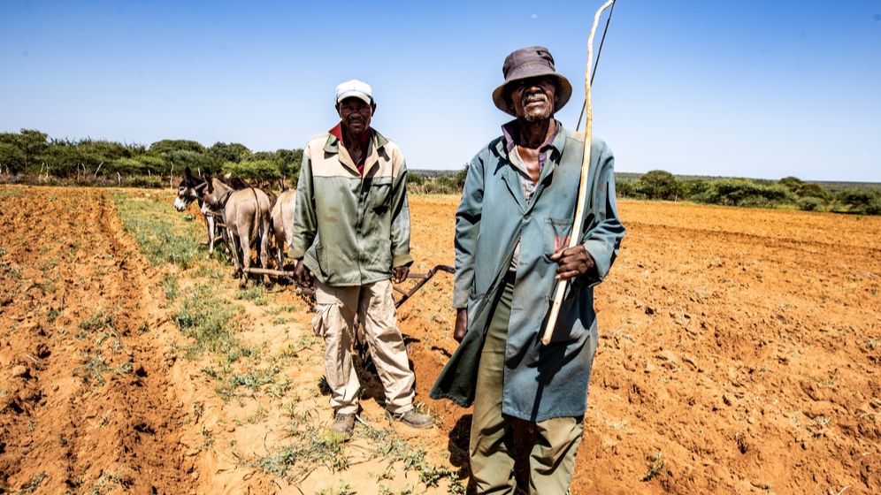 Guvernul din Botswana insistă că originea Omicron este în altă țară