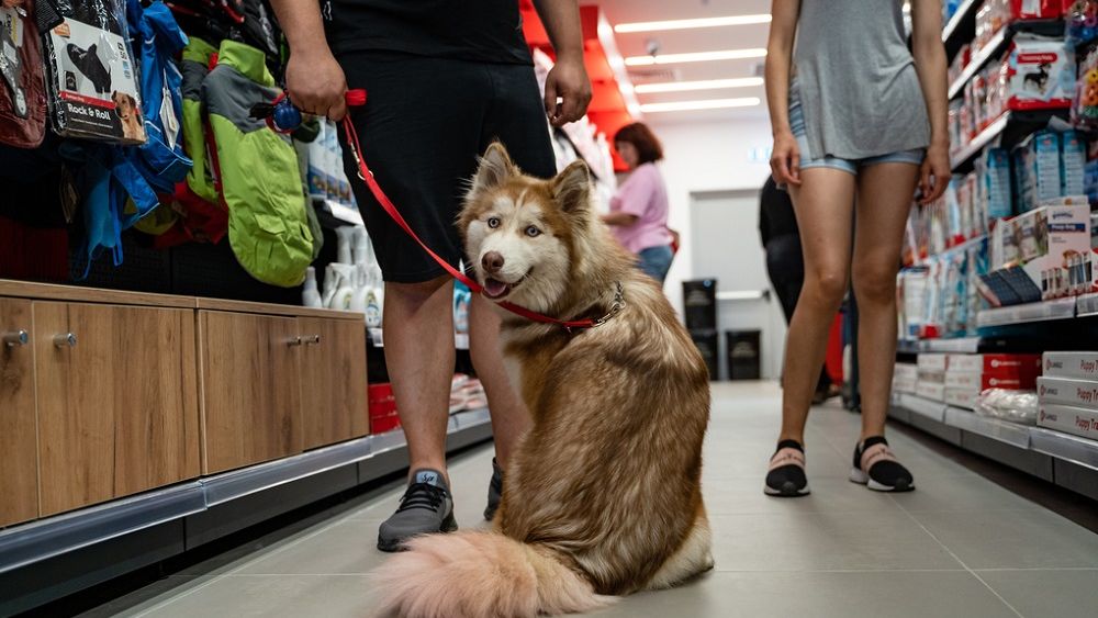 Maxi Pet deschide primul magazin la Târgu Mureș. Investiția depășește 200.000 euro