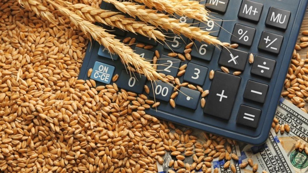 Bloomberg: Decizia României de a interzice exporturile de cereale va creste temerile la nivel global legat de aprovizionarea cu alimente