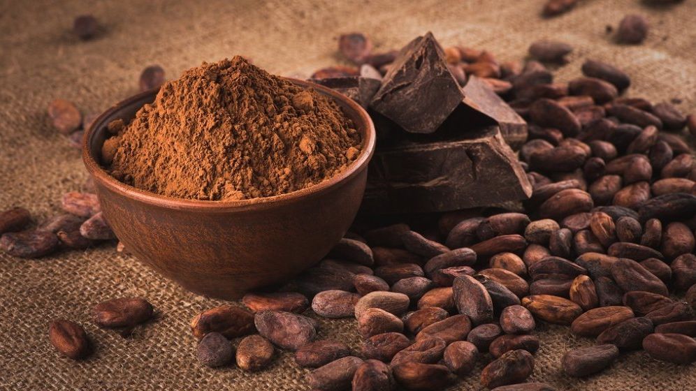 Boabele de cacao sunt mai valoroase decât cupru: o tonă de cacao se vinde cu 9.000 de dolari