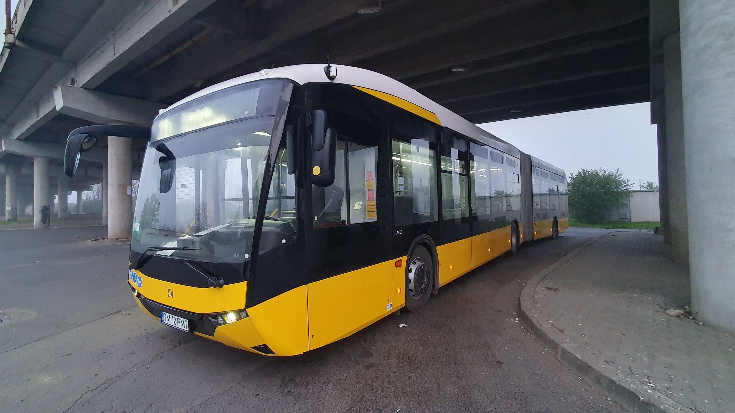 Transport public gratuit în Timișoara timp de 3 zile, cu ocazia închiderii Capitalei Culturale Europene