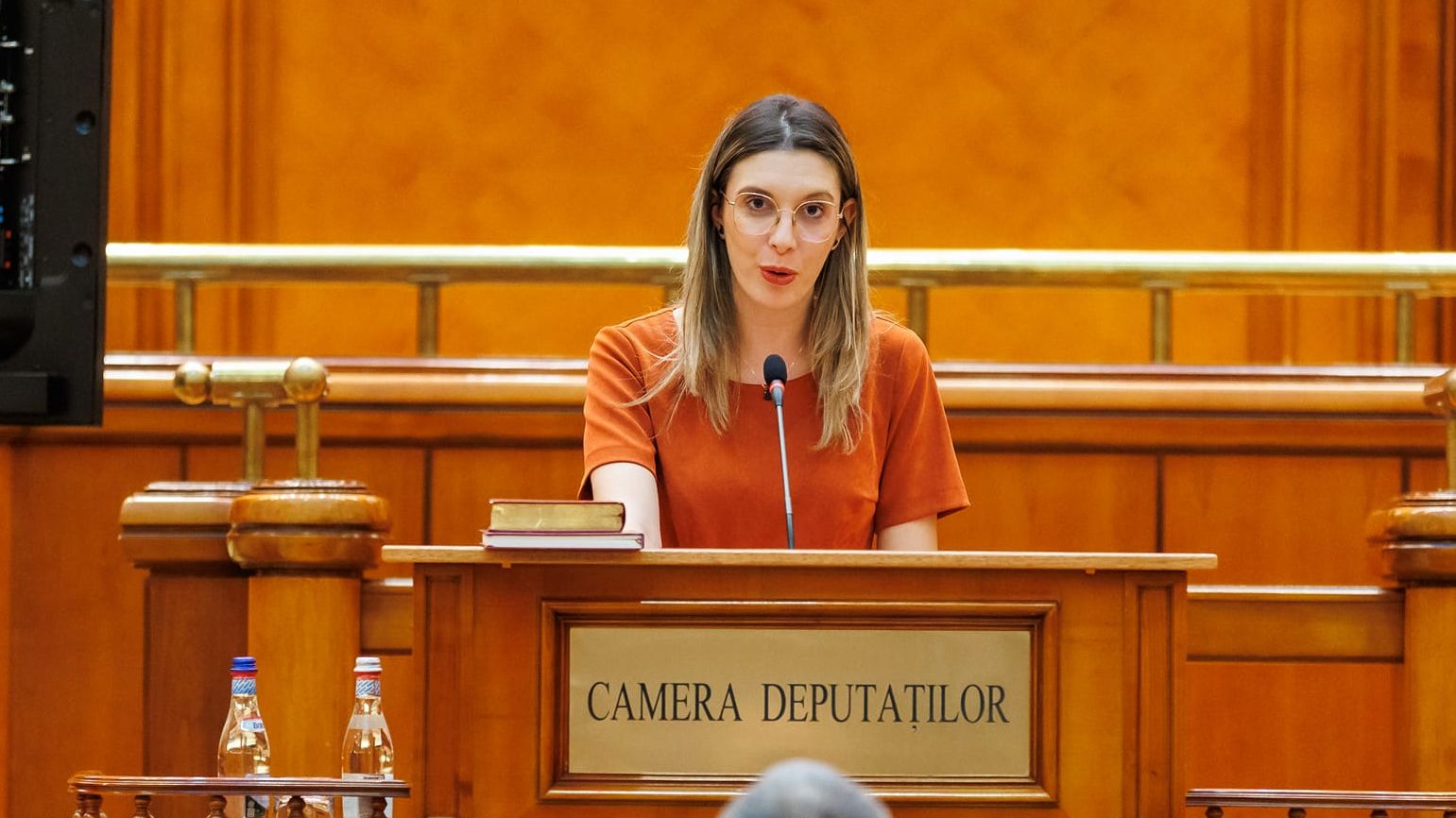 AUR depune o moțiune de cenzură împotriva ministrului Mediului, Diana Buzoianu