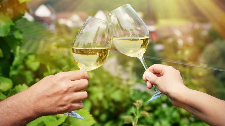 Alina Iancu, CrameRomania.ro: Romanii nu stiu de oenoturism, desi se face de cinci ani in Romania