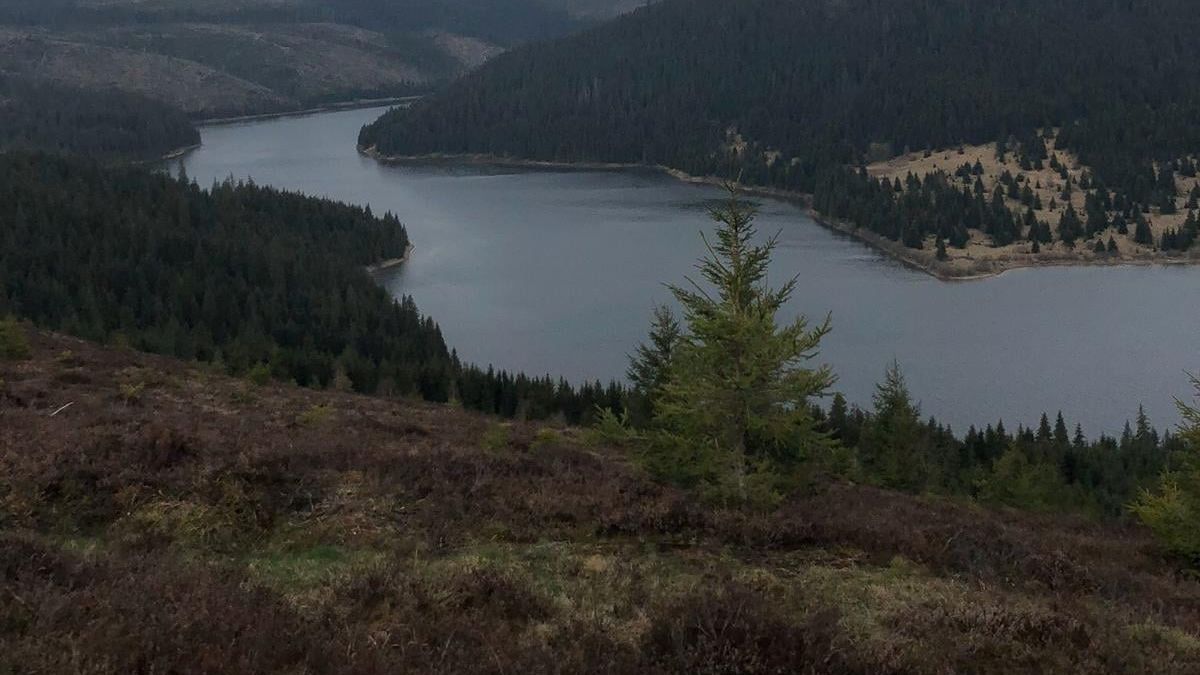 Cătălin Drulă: Este interzisă navigația oricărei ambarcațiuni propulsate cu combustibili fosili pe lacurile Tarnița și Fântânele