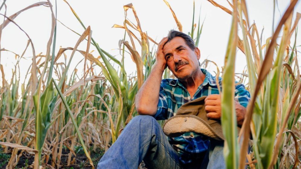 Situație-limită în agricultură. APPR: Mulţi sunt în situaţia de a-şi vinde fermele; lupta pentru supravieţuire a scos oamenii în stradă