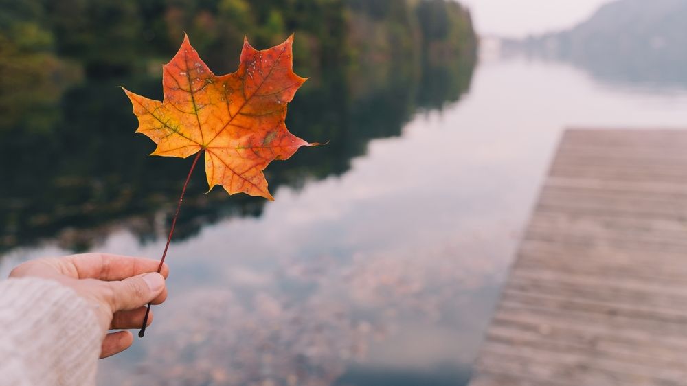Cum va fi vremea în septembrie. Progonoza meteo pentru următoarele patru săptămâni