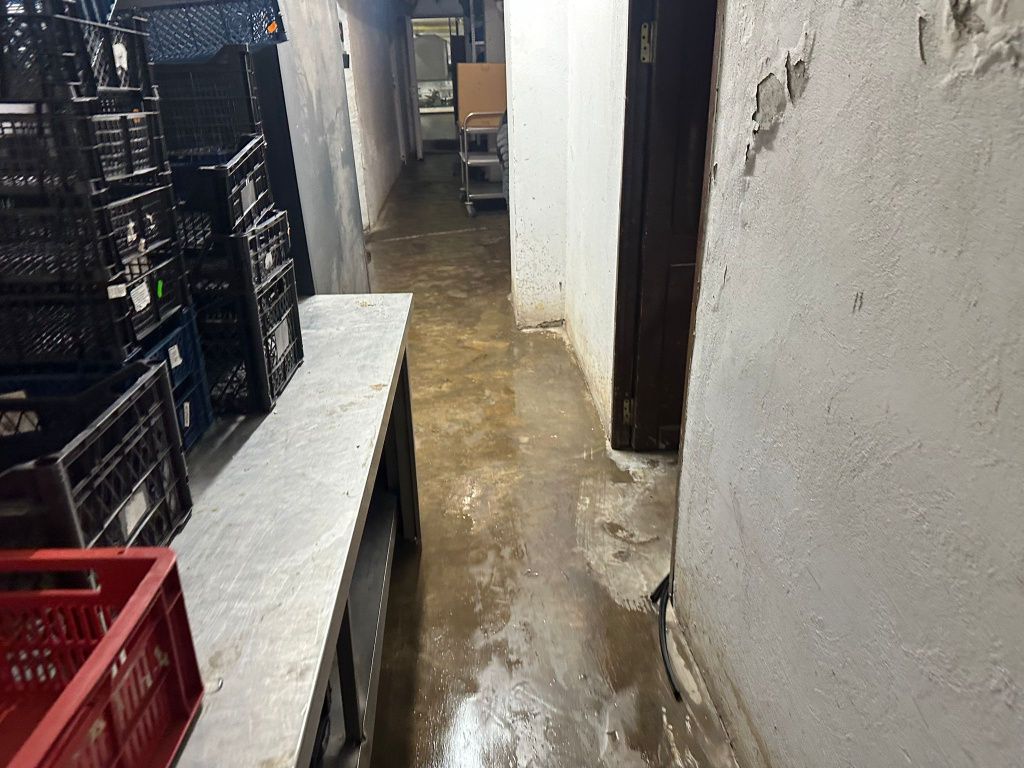 ANPC a amendat și închis temporar un important teatru cu restaurant din Capitală - Imagine 11