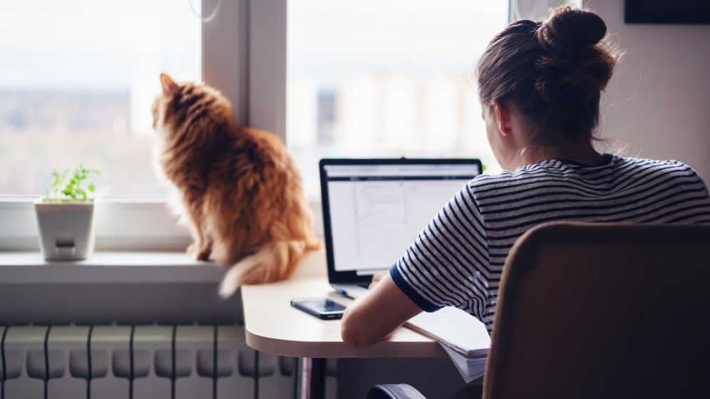 Dispare încet „luxul” de a munci de acasă? Încă o companie mare vrea ca angajații să vină mai des la birou