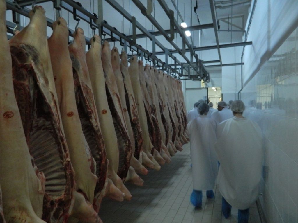 Agricola Bacau - Imagine 19