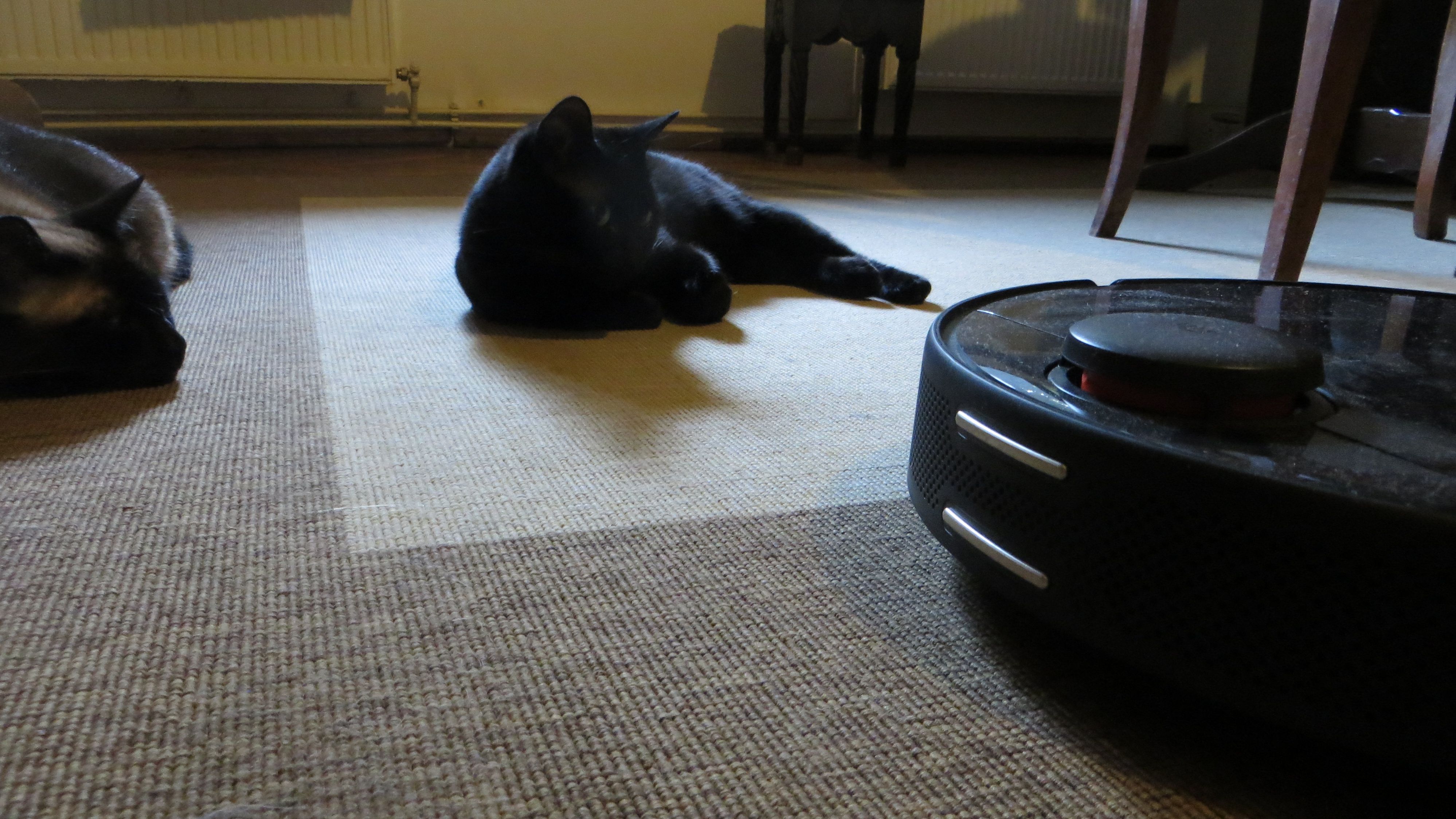 WSReviews Mi Robot Vacuum-Mop 2 Pro: curăță bine, dar se murdărește rău