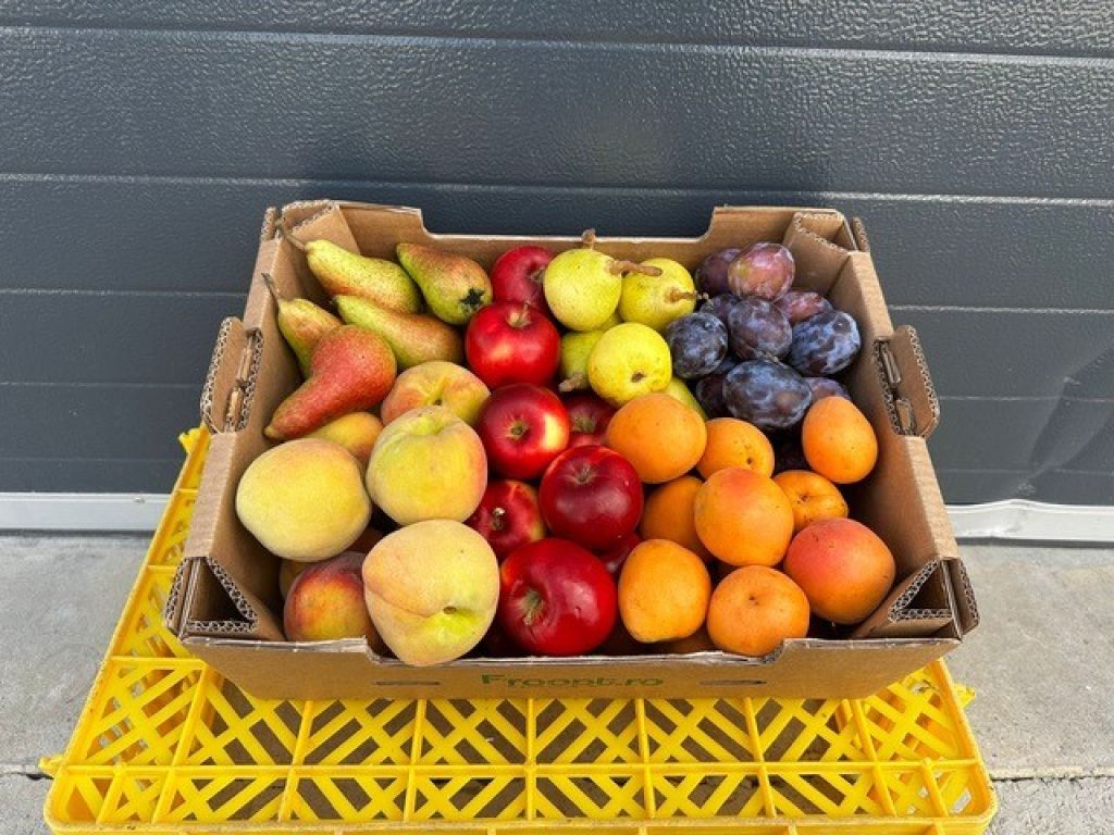 Legume și fructe bio, comandate online: Froopt.ro pregătește abonamente și crește pe zona comen - Imagine 26