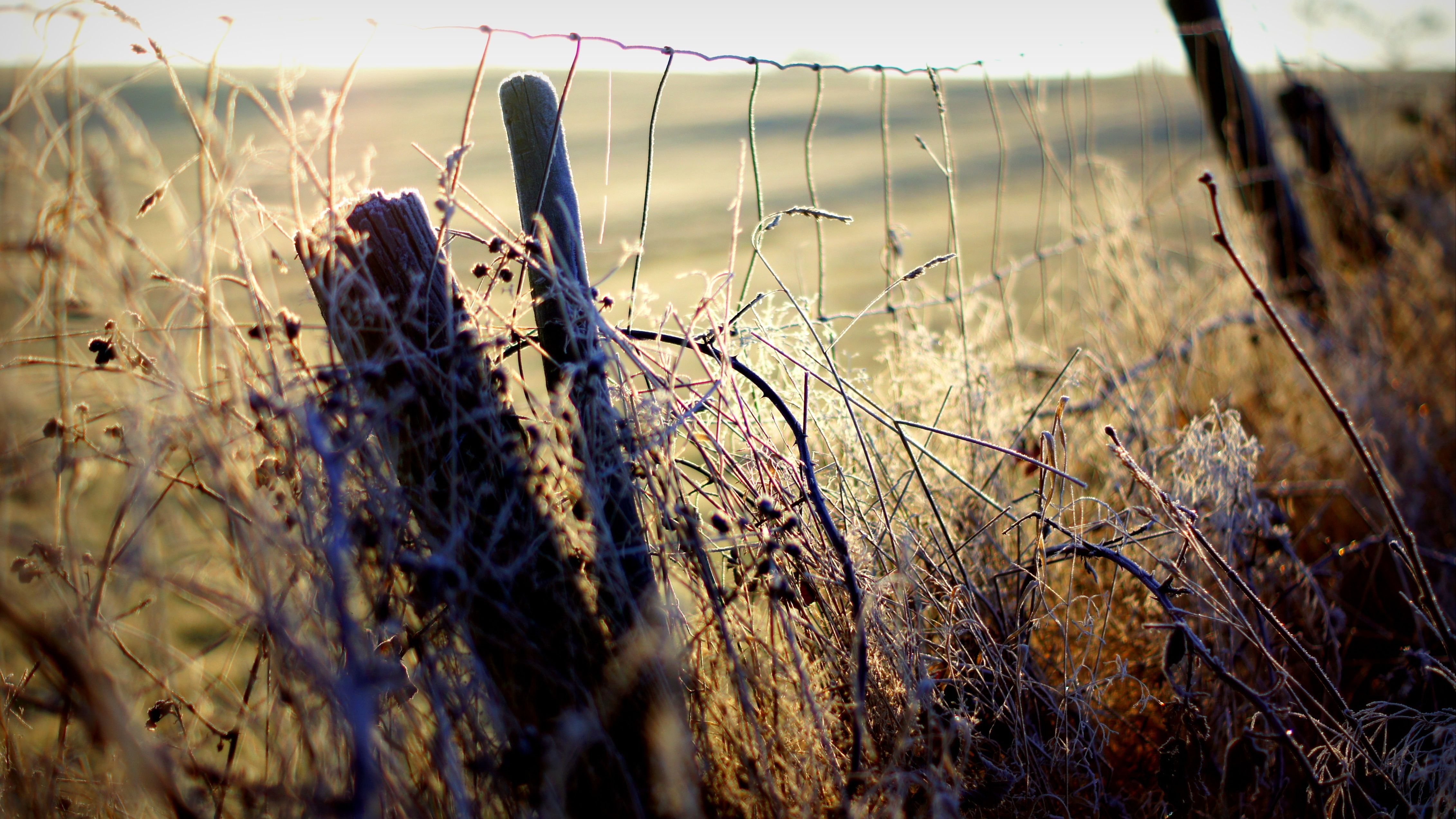 Marcel Vela: Fenomen inedit la vama cu Ungaria, mulți cetățeni intră în țară pe jos. Ce riscă aceștia?