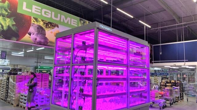Metro aduce in magazinul din Baneasa o microsera unde vor creste plante aromatice, care vor ajunge direct la raft