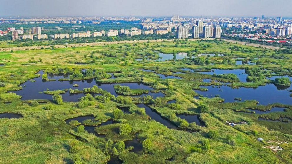 Nicușor Dan anunță că Primăria a preluat Delta Văcărești