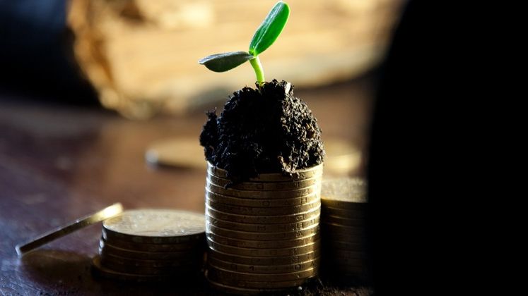 STUDIU: Cele mai multe firme profitabile si de incredere din Romania au capital autohton, fiind in special IMM-uri