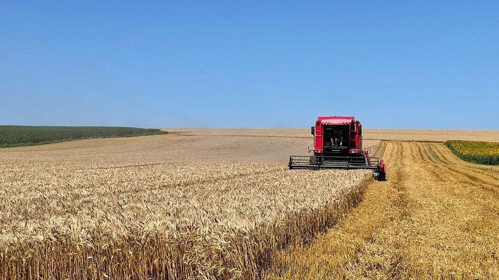 [FOTO] A renunțat la o posibilă carieră în turism pentru o afacere cu grâu în care a investit 500.000 euro