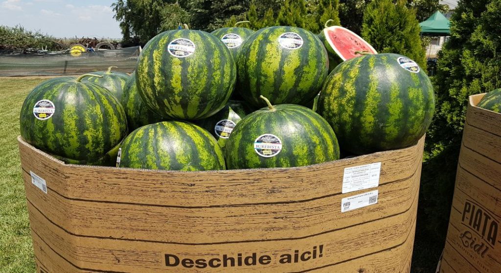 Ferma Scanteia Lidl - Imagine 7