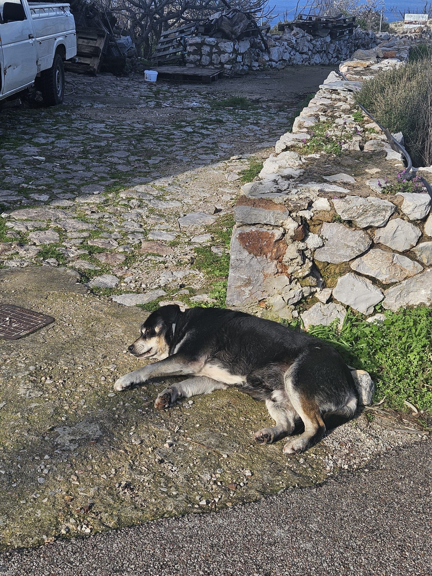 FOTO | Chios, insula grecească pe care o poți vizita 365 de zile pe an - Poza 53