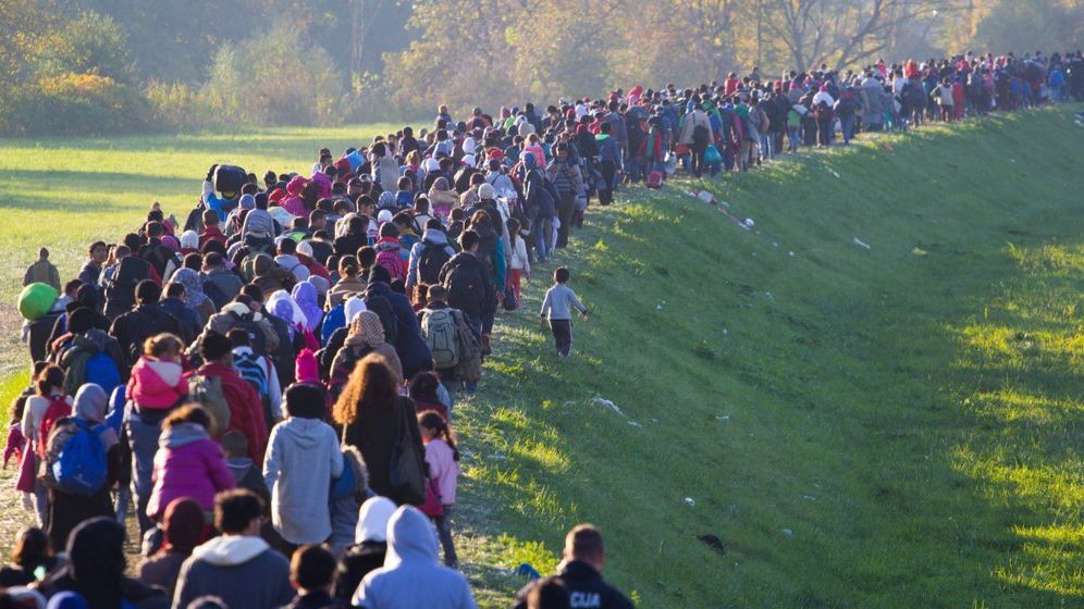 Sondaj: Germanii au prins frica de imigranți. Majoritatea se tem de un val de refugiați afgani