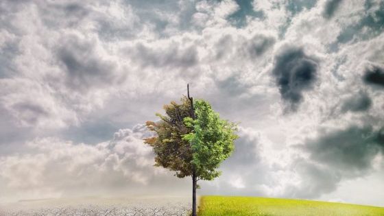 Retrospectiva anului 2016: cele mai importante momente care au schimbat lumea in care traim