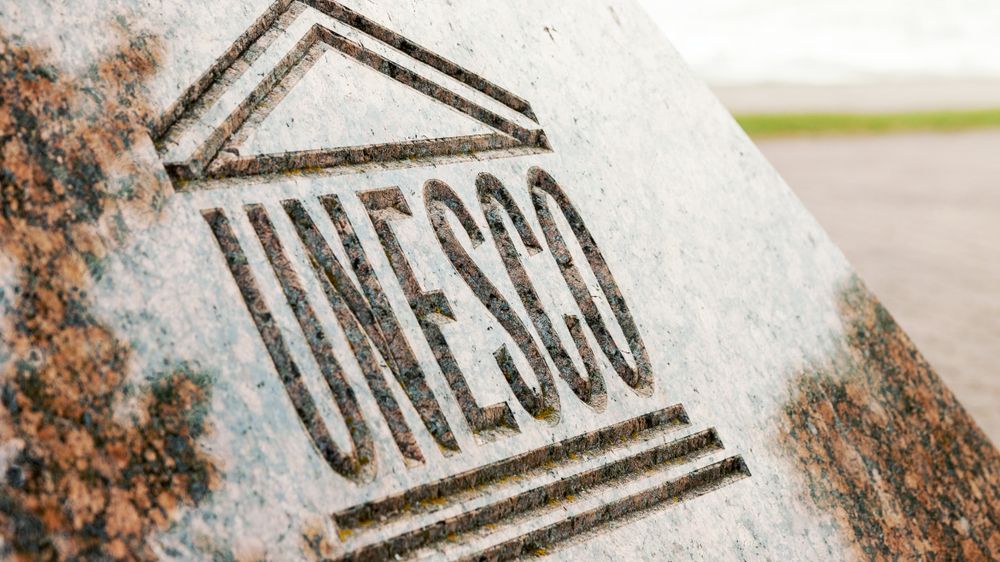 Cobza românească intră pe Lista Reprezentativă a Patrimoniului UNESCO. Cum a reacționat Ministerul Culturii