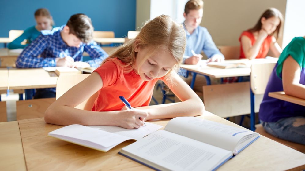 Care sunt cele mai importante probleme în școlile românești de stat. Ce soluții și reforme propune ministrul Daniel David