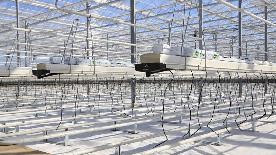 Fonduri europene: 6,53 miliarde de euro absorbite de agricultura. Care sunt judetele care au atras cei mai multi bani europeni?