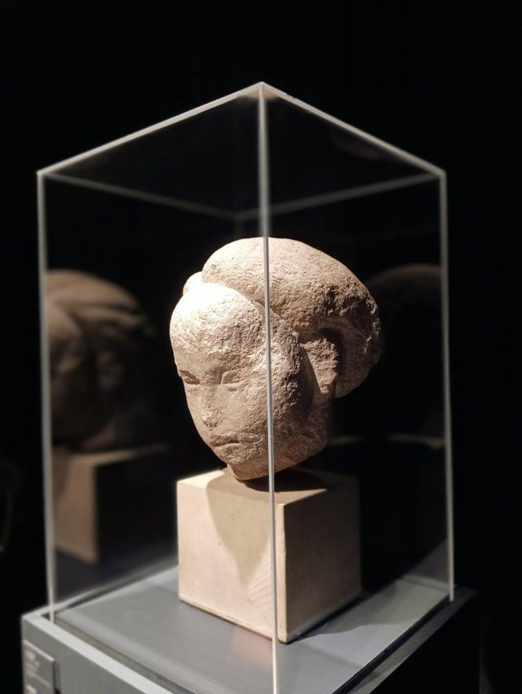 Expoziția Brâncuși de la Timișoara: capodoperele, în vizită în patria părintelui lor - Imagine 38