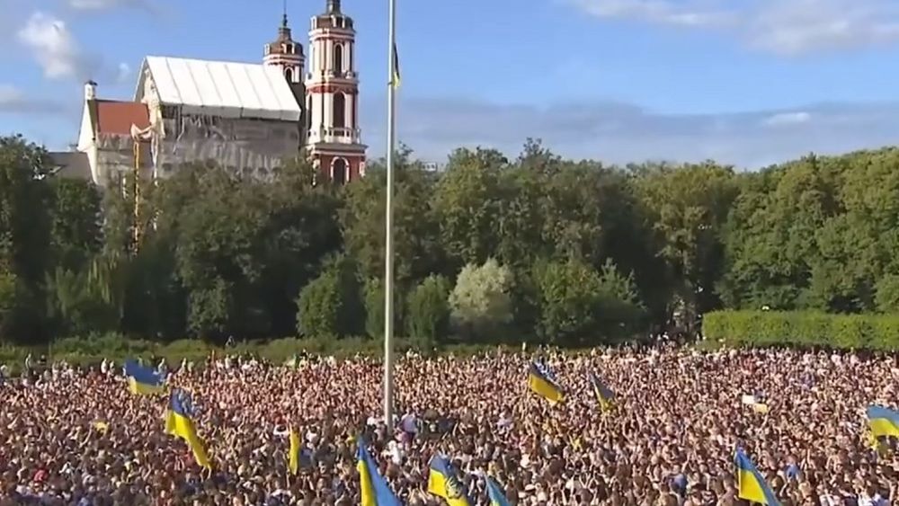 Zelenski și-a pledat cauza la Vilnius: O aderare a Ucrainei la alianță va face NATO mai puternică