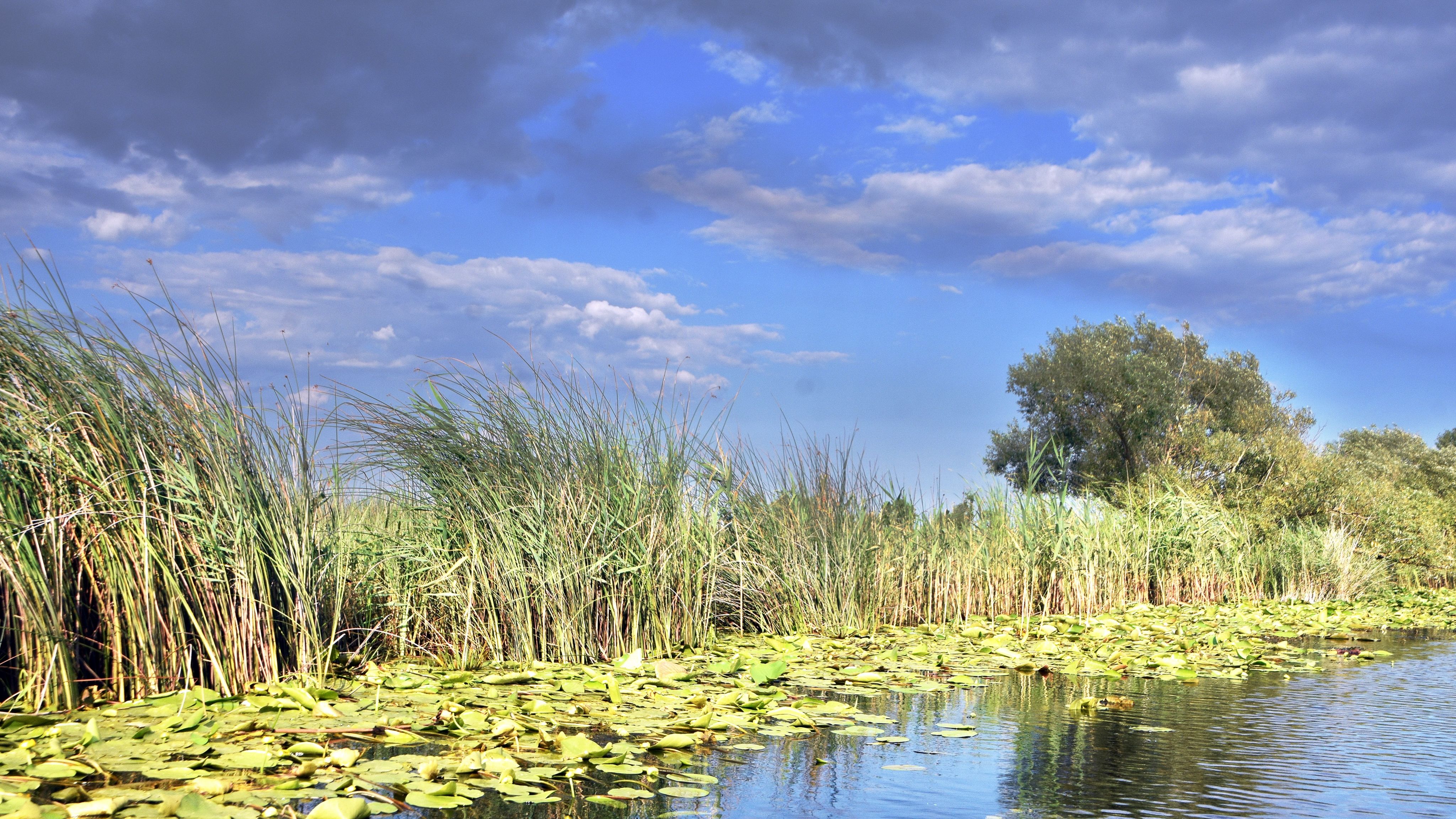 Sfarsit de concediu in Delta Dunarii. Septembrie, o luna plina cu evenimente