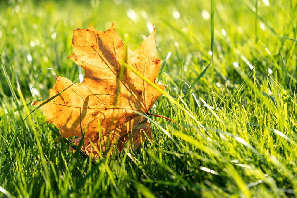 Cum va fi vremea până pe 13 septembrie. ANM: Temperaturile revin la normal