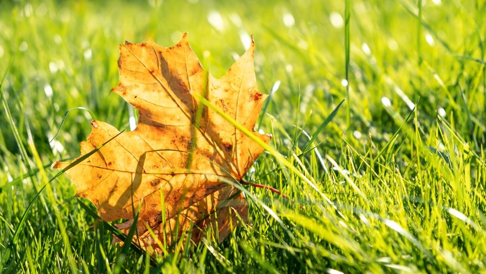 Cum va fi vremea până pe 13 septembrie. ANM: Temperaturile revin la normal