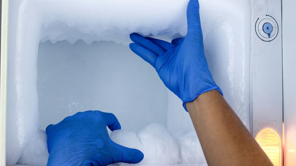 Un candidat la prezidențiale a cerut ca BEC să îi păstreze semnăturile la congelator ca să nu se strice cerneala