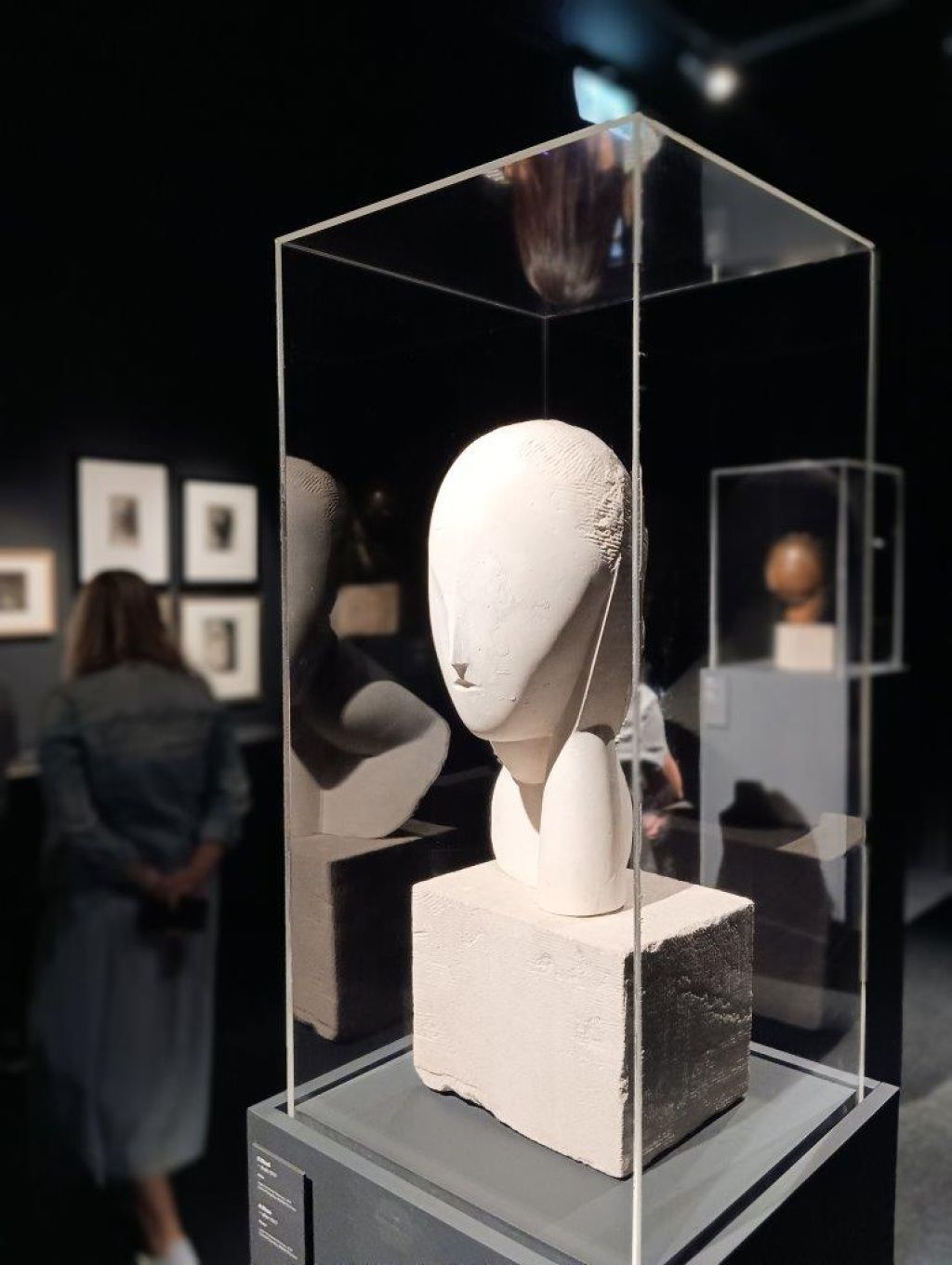 Expoziția Brâncuși de la Timișoara: capodoperele, în vizită în patria părintelui lor - Imagine 39