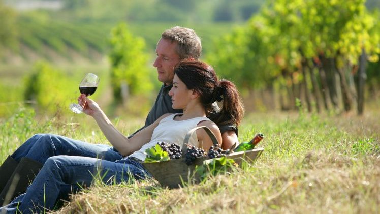 Turismul viticol in Romania: nu aduce bani si este greu de sustinut de crame. La ce ajuta, totusi?